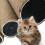 Cat Scratching Post Kitten Scratching Toy for Large and Small Cats 4