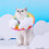 Soft Elizabethan Collars for Pets Kitten Dogs Rainbow Style with Cute Wing 2