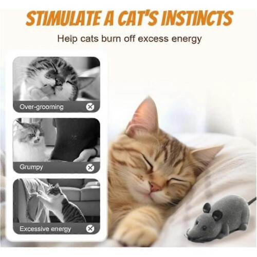 (Black) Interactive Automatic Moving Mouse Toys with Squeaky Sound,Interactive Cat Toys 2
