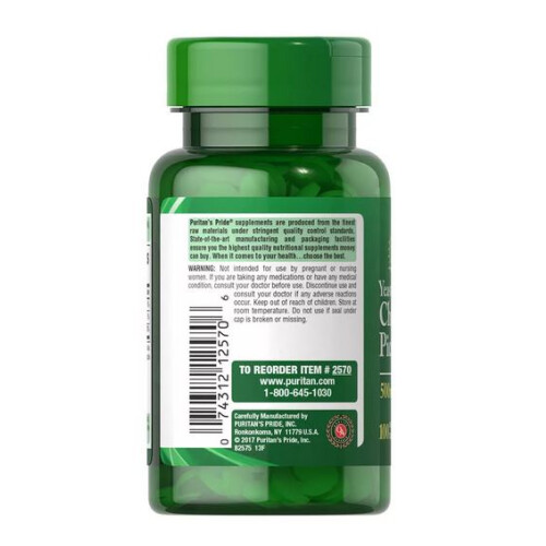 Puritan's Pride PURITAN'S PRIDE Chromium Picolinate 500 mcg, 100 Vegetarian Tablets 2