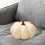 Halloween Pumpkin Pillows Fall Thanksgiving Pillow 5