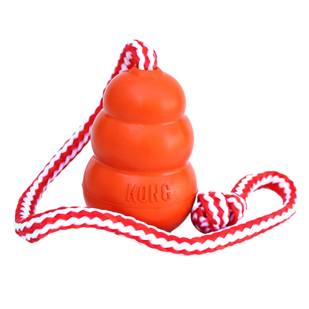 Kong Aqua Floating Dog Toy With Rope