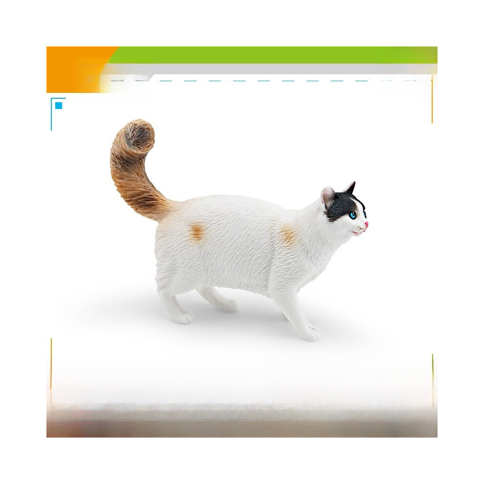 (Somali Cat) Somali Cat Simulation Ragdoll Felinae Felis Silvestris Ornament Model Pet-image-OPC-PHPPSC6-NEW