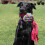 KONG KONG - Wubba Weaves - Large (Assorted Colors) 3