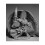 Reaper Miniatures Solar, Άγγελος #77594 Bones RPG D&D Φιγούρα 3