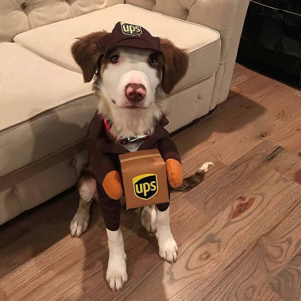 (As show, One size) Pet Ups Pal Dog Costume Costume, Funny express clothes pet dog cat clothes small, medium and large dog supplies autumn and winter(