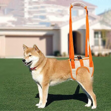 (As show, One size) Orange dog assist strap (M waist 35-45cm, leg 24cm), mesh dog lifting strap support sling, pet traction strap rehabilitation sports balance strap, sui