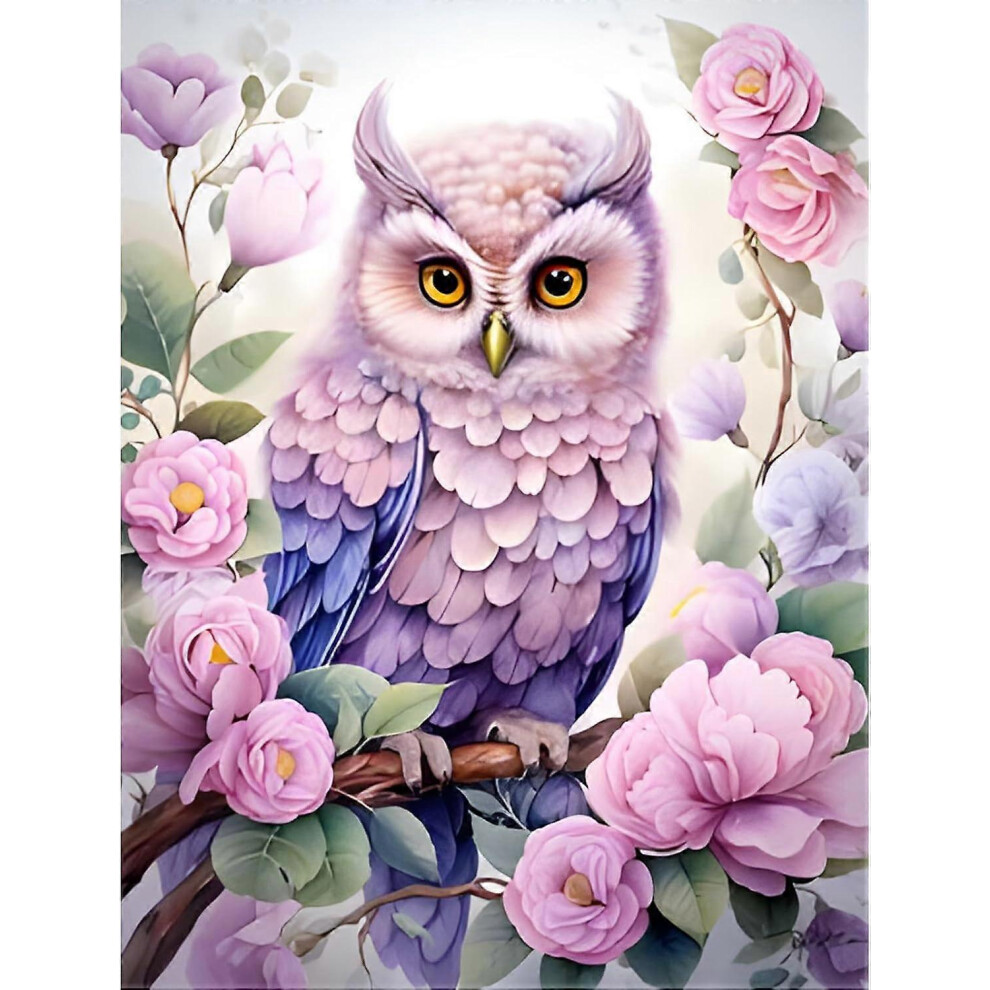 (As show, One size) DIY 5D Diamond Painting owl 30 x 40 cm(Style 24)