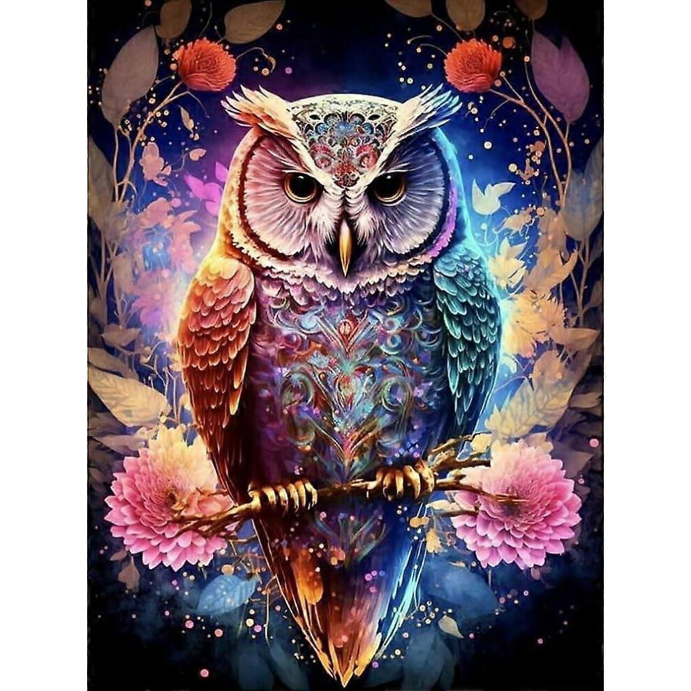 (As show, One size) DIY 5D Diamond Painting owl 30 x 40 cm(Style 12)
