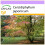 SAFLAX  - Lebkuchenbaum - Cercidiphyllum - 200 Samen 1