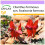 SAFLAX  - Papageischnabel - Clianthus - 20 Samen 1