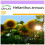 SAFLAX  - Sonnenblume Titan - Helianthus - 20 Samen 1