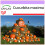 SAFLAX  - Kürbis – Giant - Cucurbita - 7 Samen 1