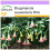 SAFLAX  - Engelstrompete Pink - Brugmansia - 10 Samen 1