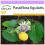 SAFLAX  - Süße Granadilla - Passiflora - 20 Samen 1