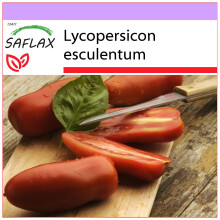 SAFLAX  - Tomate – Marzano - Lycopersicon - 10 Samen