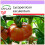 SAFLAX  - Tomate – Brandywine - Lycopersicon - 10 Samen 1