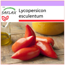 SAFLAX  - Tomate - Andenhorn - Lycopersicon - 10 Samen