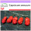 SAFLAX  - Chili - Penis Chili - Capsicum - 10 Samen 1