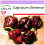 SAFLAX  - Chili – Chocolate - Capsicum - 10 Samen 1