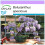 SAFLAX  - Afrikanischer Blauregen - Bolusanthus - 15 Samen 1