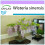 SAFLAX  - Blauregen  - Wisteria - 4 Samen 1