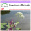 SAFLAX  - Baldrian - Valeriana - 200 Samen 1