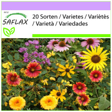 SAFLAX  - Vogelträume - Mix - 1000 Samen
