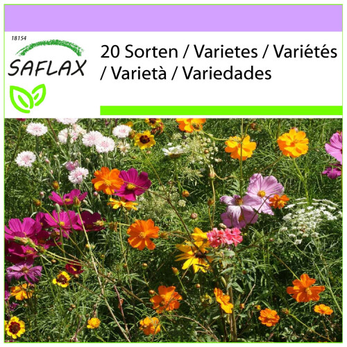 SAFLAX  - Schnittblumenwiese - Mix - 1000 Samen