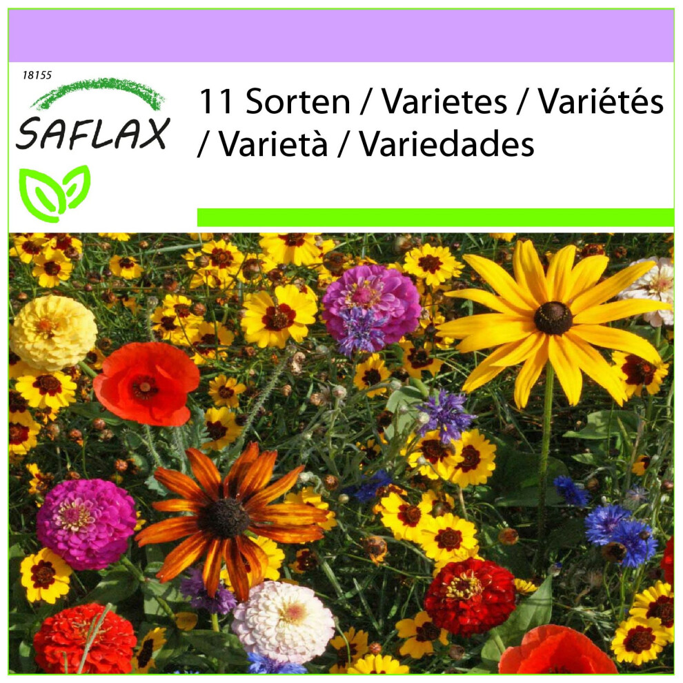 SAFLAX - Amusement des enfants - 1000 graines - Mix