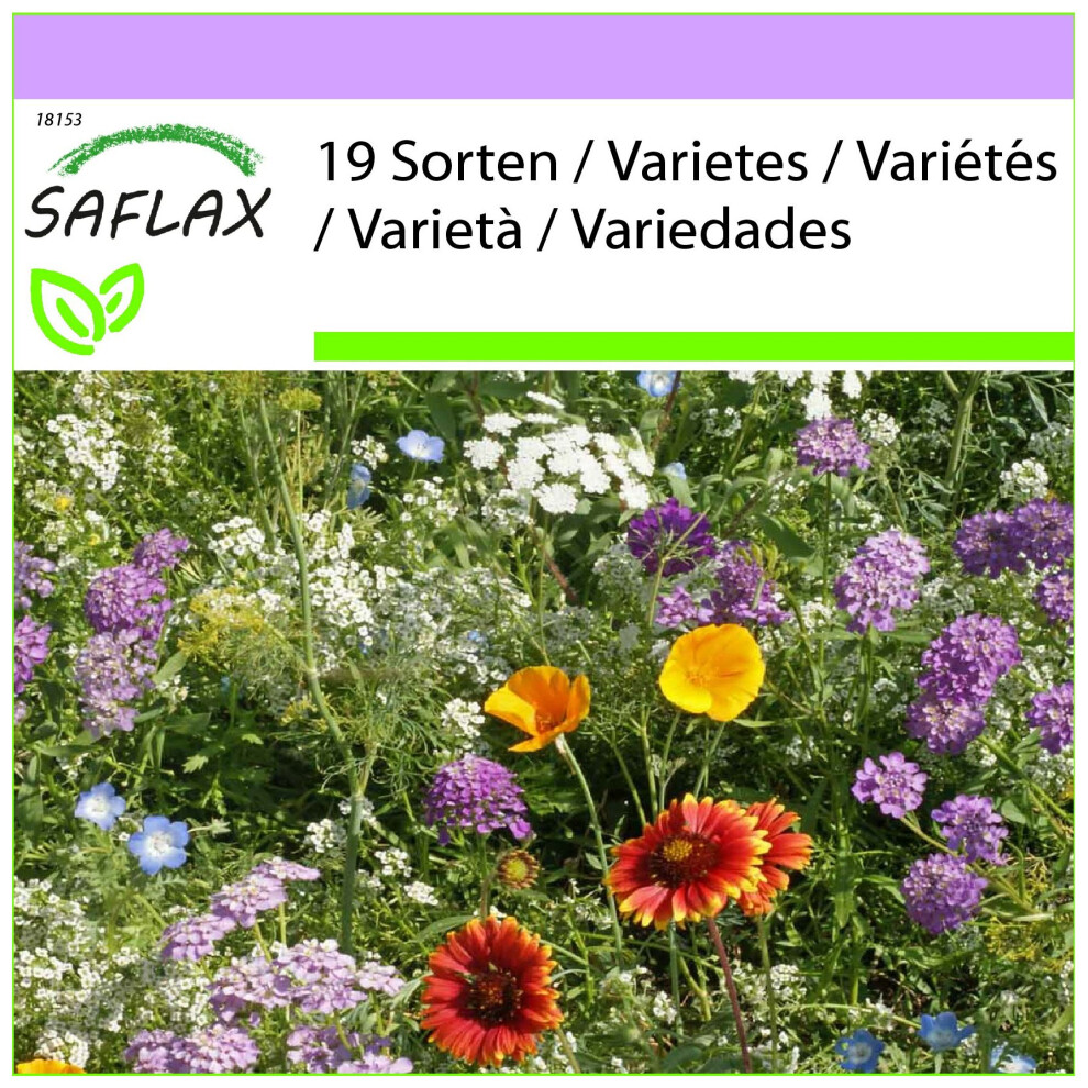 SAFLAX - Paradis pour les insectes - 1000 graines - Mix