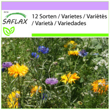 SAFLAX - Essbare Blüten - Mix - 1000 Samen