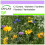 SAFLAX  - Essbare Blüten - Mix - 1000 Samen 1