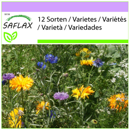 SAFLAX  - Essbare Blüten - Mix - 1000 Samen