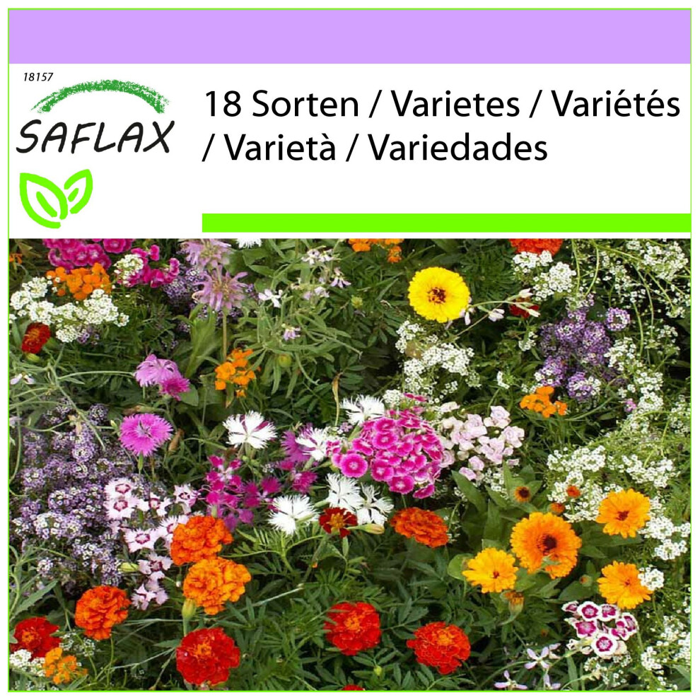 SAFLAX - Parfums enchanteurs - 1000 graines - Mix