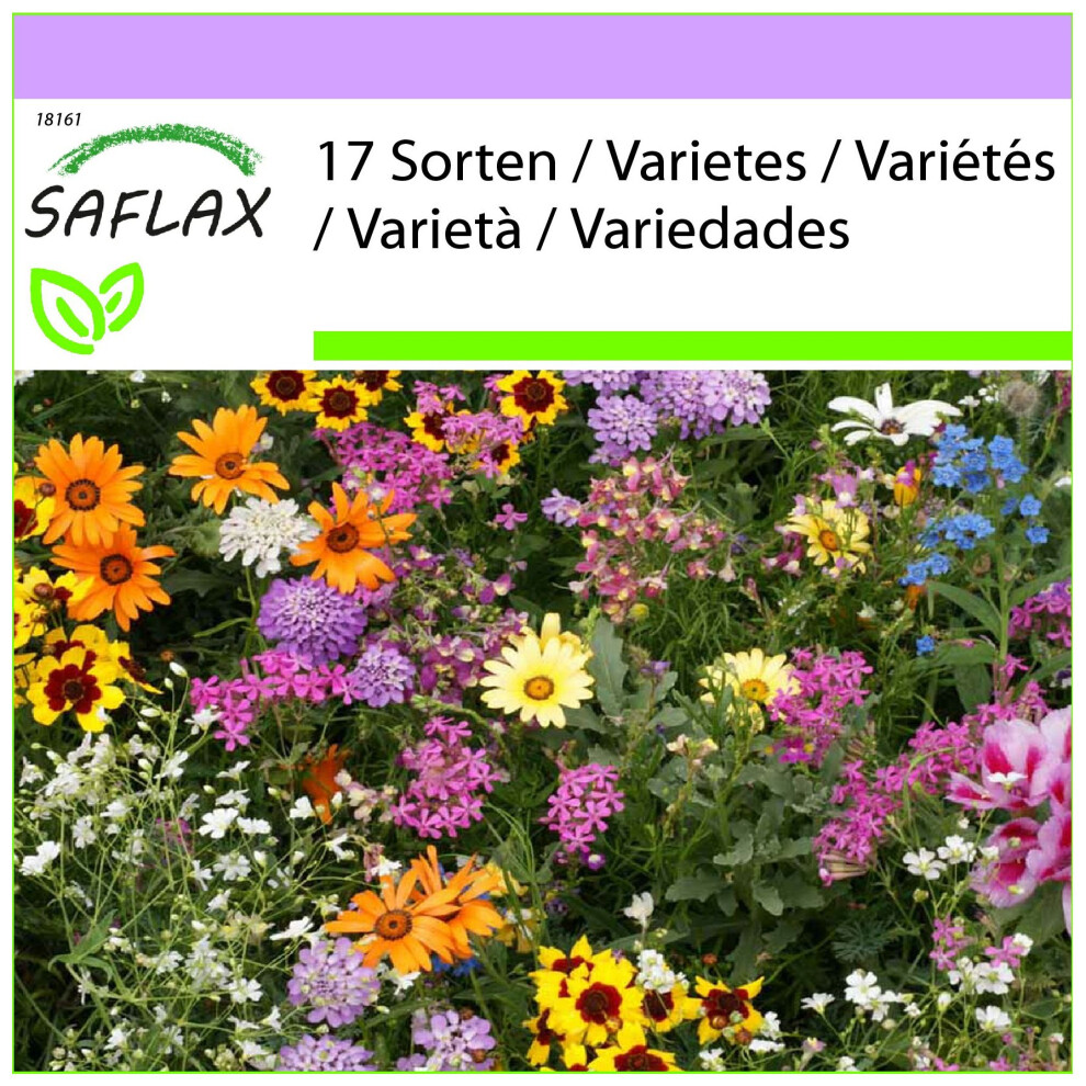 SAFLAX - Rêves de golfeurs - 1000 graines - Mix