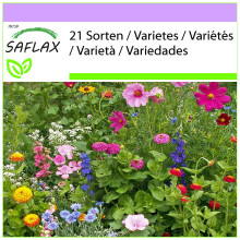 SAFLAX  - Cottage Garden - Mix - 1000 Samen