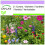 SAFLAX  - Cottage Garden - Mix - 1000 Samen 1