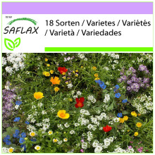 SAFLAX  - Kleine Gartenzwerge - Mix - 1000 Samen