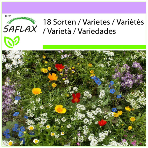 SAFLAX  - Kleine Gartenzwerge - Mix - 1000 Samen