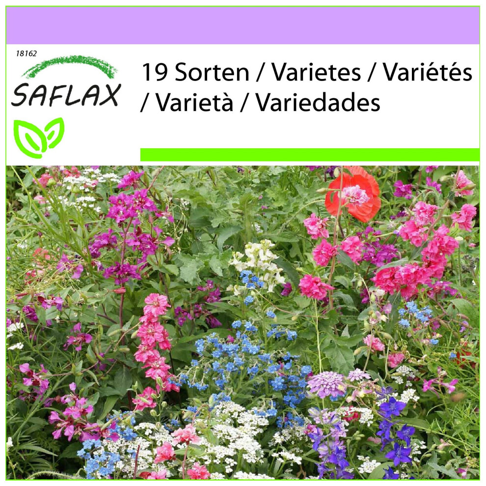 SAFLAX - Plantes d'ombre - 1000 graines - Mix