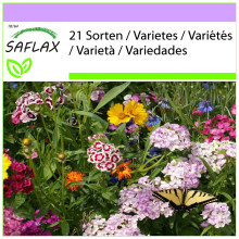 SAFLAX  - Schmetterlingswiese - Mix - 1000 Samen