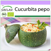 SAFLAX - BIO - Courgette - Tondo di Nizza - 5 graines - Cucurbita pepo