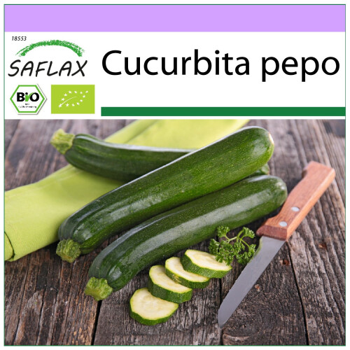 SAFLAX  - Zucchini - Nero di Milano - Cucurbita - 6 Samen