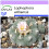 SAFLAX - Peyote - 20 semi - Lophophora 1