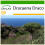 SAFLAX  - Drachenbaum - Dracaena - 5 Samen - Mit Substrat 1