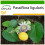 SAFLAX  - Süße Granadilla - Passiflora - 20 Samen - Mit Substrat 1
