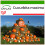 SAFLAX  - Kürbis – Giant - Cucurbita - 7 Samen - Mit Substrat 1