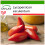 SAFLAX  - Tomate - Andenhorn - Lycopersicon - 10 Samen - Mit Substrat 1