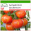 SAFLAX  - Tomate - Tigerella - Lycopersicon - 10 Samen - Mit Substrat 1